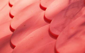 Tan Y Fron plastic roof costs